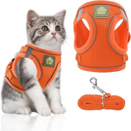 Arnés y correa para gatos, juego de arnés de chaleco suave ajustable a prueba de fugas con tiras reflectantes para gatos grandes, razas pequeñas,