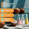 Kuii Coconut Milk Drink – Original Coconut Flavor, 12 Count