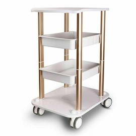 Beauty Salon Trolley Cart 3 Tiers Rolling Cart 220LBs Utility Cart Stroage Station with Wheels and 3 Tray Esthetician Cart for Facials