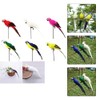 ZYWUOY Simulation Parrot, Artificial Fake Parrot Lifelike Feathered Bird Imitation