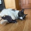 SPOT Big Mouse Bertha Cat Toy with Catnip – Lifelike