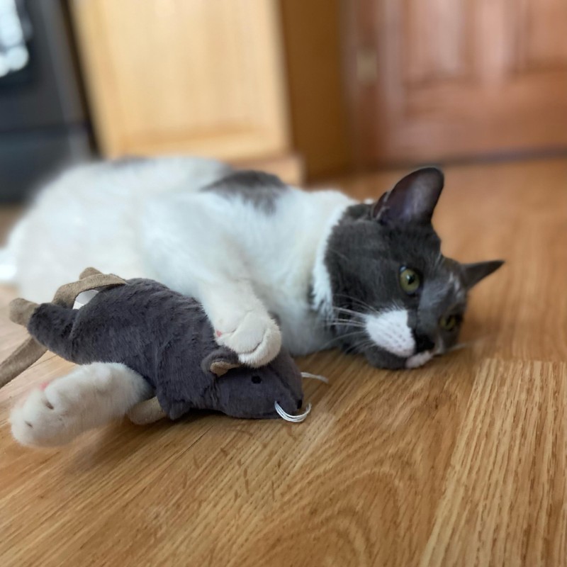 SPOT Big Mouse Bertha Cat Toy with Catnip – Lifelike