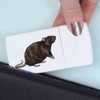 'Brown Rat' Pill Box with Tablet Splitter (PI00017770)