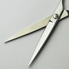 Axis Cony Scissors, Professional Hair Cutting Scissors, 6.0 Inches, Professional