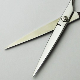 Axis Cony Scissors, Professional Hair Cutting Scissors, 6.0 Inches, Professional Hair Cutting Scissors Made in Japan