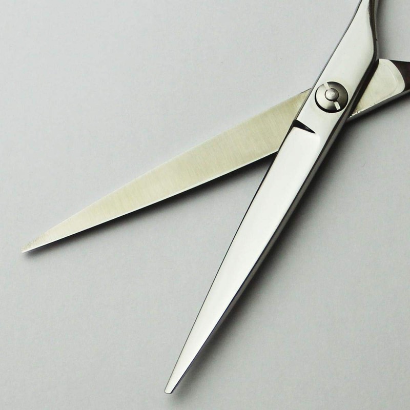 Axis Cony Scissors, Professional Hair Cutting Scissors, 6.0 Inches, Professional