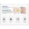 Acido Hialuronico Rorec B5 Serum B5 Rorec Anti Arrugas 5