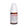 DHU Cardiospermum D12 10g Globules