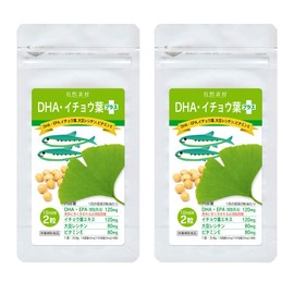 大日ヘルシーフーズ DHA EPA イチョウ葉 80粒入×2袋（80日分） 大豆レシチン ビタミンE 配合 サプリ