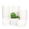 TDHDIKE 25 Pcs Plastic Planters Indoor Flower Plant Pots, Mini