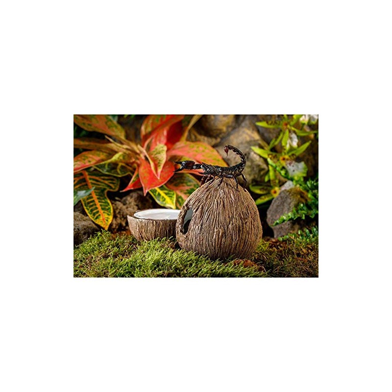 Exo Terra Exo Terra Tiki Hide & Water Dish,Brown,2 count