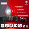50' FlexFilament LED Red and Cool White C9 Christmas Lights