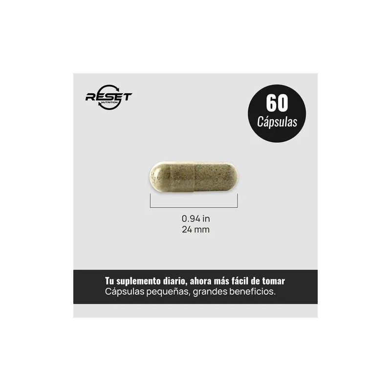 Reset Nutrition Memory Neuro Nootrópico Memoria Enfoque 60c