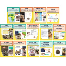 Carson Dellosa Nonfiction Text Posters, Colorful Reading Posters for Classroom, Language Arts Wall Poster Set for Wall Decor and Classroom Decor (14 Posters) (Mini Posters)