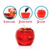 Fruit Fly Traps for Indoors by Raid | 2 Lures