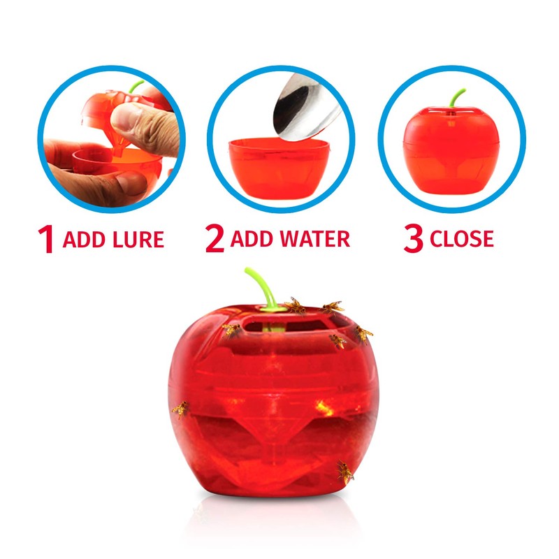 Fruit Fly Traps for Indoors by Raid | 2 Lures