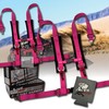 AAAA Aces Racing (Pair) 4 Point Harness with Ez Buckle