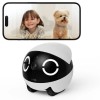 Enabot ROLA Mini Companion Robot with Camera | AI Smart