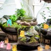 GSrenyu 36pcs Mini Resin Animals, Capybara Tiny Animal Resin Figurines,