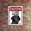 WARNING I LIVE HERE METAL GATE SIGN GREAT DANE THEME