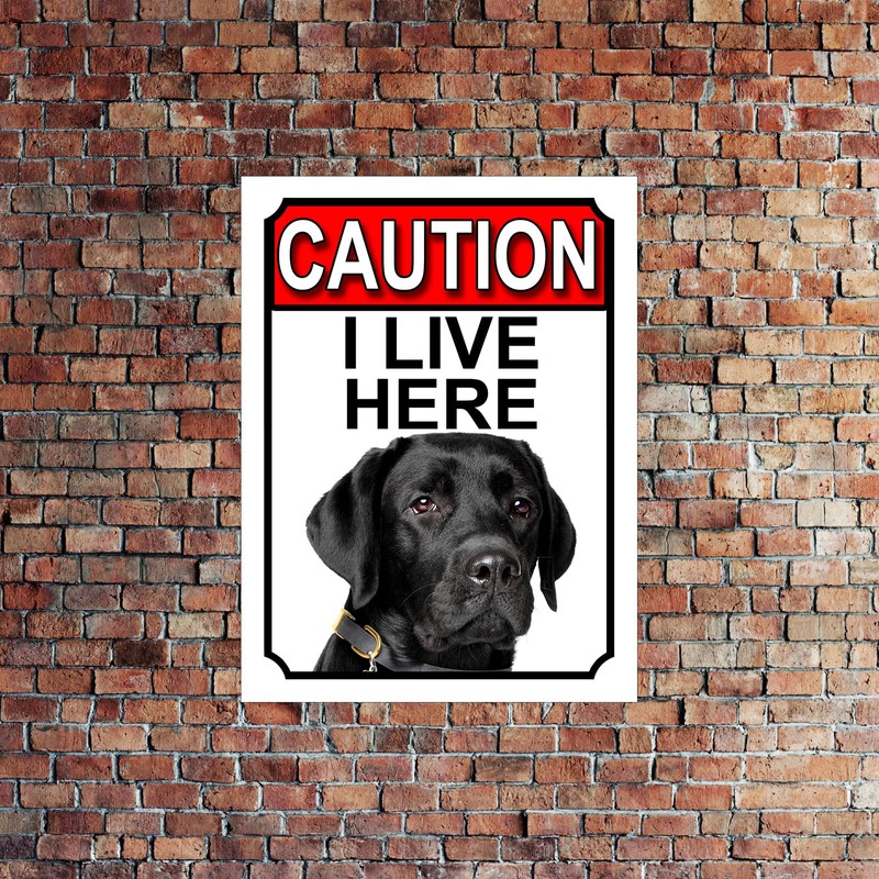 WARNING I LIVE HERE METAL GATE SIGN GREAT DANE THEME