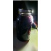 100% Pure REIKI INFUSED GHOST/INDIAN PIPE TINCTURE