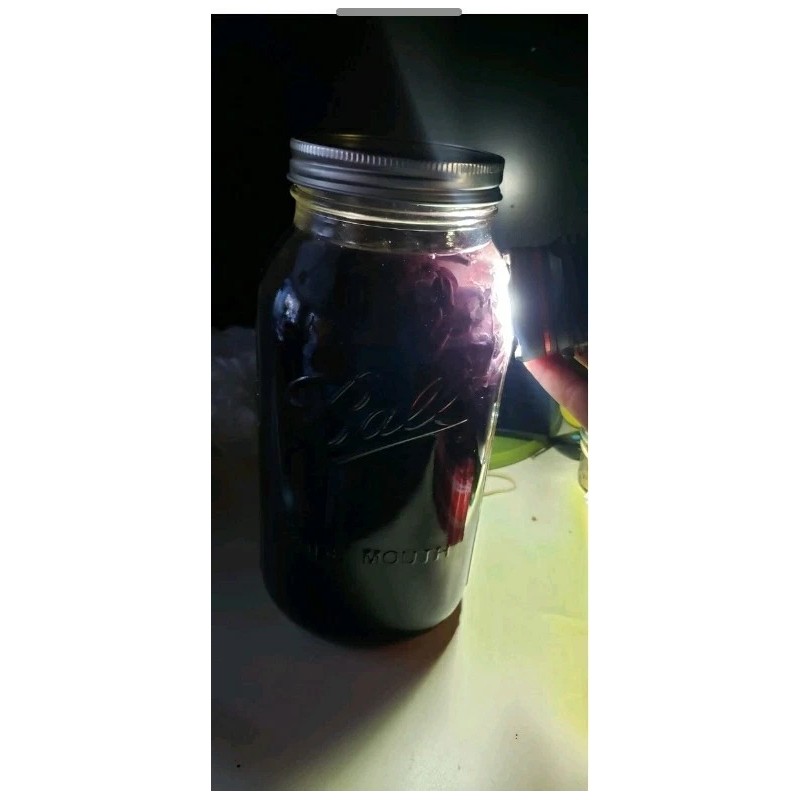 100% Pure REIKI INFUSED GHOST/INDIAN PIPE TINCTURE