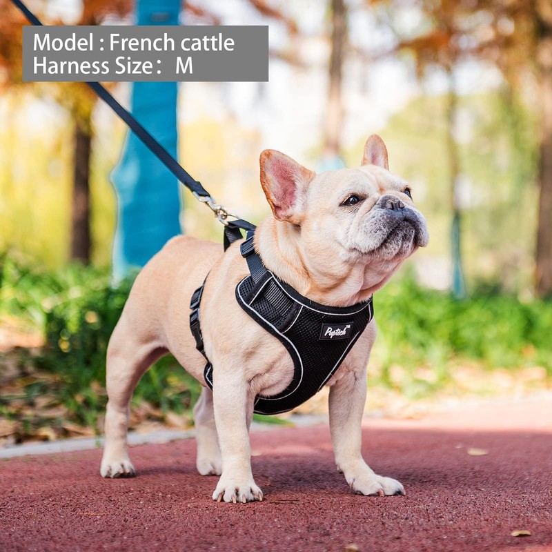 PUPTECK Small Dog Harness and Leash Set, No Pull Adjustable