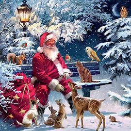 Santa Feeding Forest Friends - Pack of 5 Charity Christmas Cards - Sold in Aid of Marie - XPS037 (Santa Feeding)