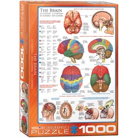EuroGraphics Human Body (The Brain) 1000 Piece Puzzle