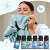 SALUBRITO Clean Fragrance Oils Set, Premium Essential Oils Set for