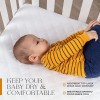 AHOC / At Home Compass 2 per pack Crib Mattress