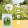 100 Count Pure Dandelion Leaf & Root Tea Bags –Liver