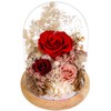 Loveliome Foever Love Preserved Rose Flowers Fresh Bouquet in Glass