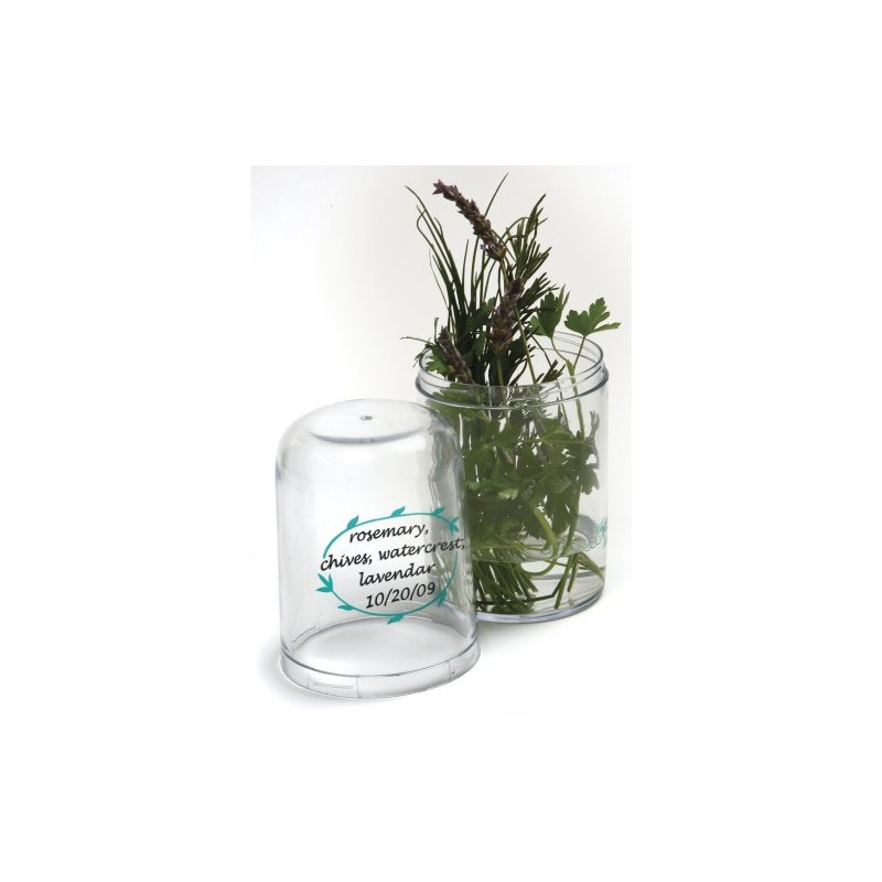 Norpro Fresh Herb Keeper Refrigerator Container Basil Cilantro Etc. 9"