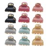 Pack of 12 Acrylic Hair Clips, Mini and Compact Design,