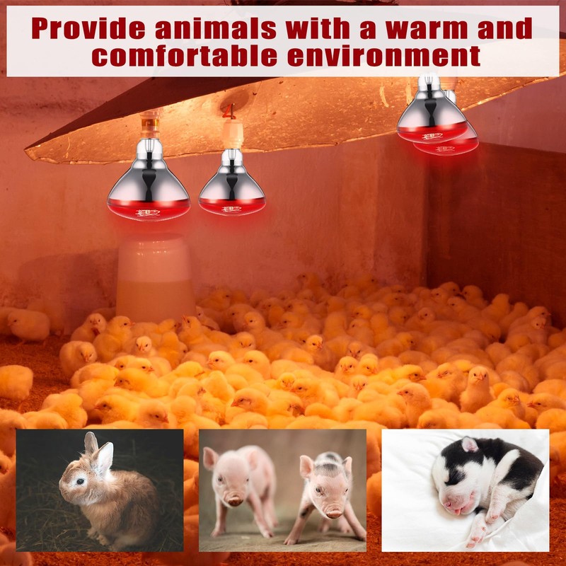 VIHOSE 4 Pack Infrared Heat Lamp for Chickens 250watt 120v