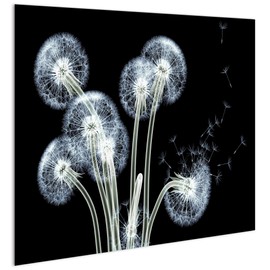 Empire Art Direct Dancing Dandelions Frameless Free Floating Tempered Glass Panel Graphic Wall Art Ready to Hang, 48" x 32" x 0.2"