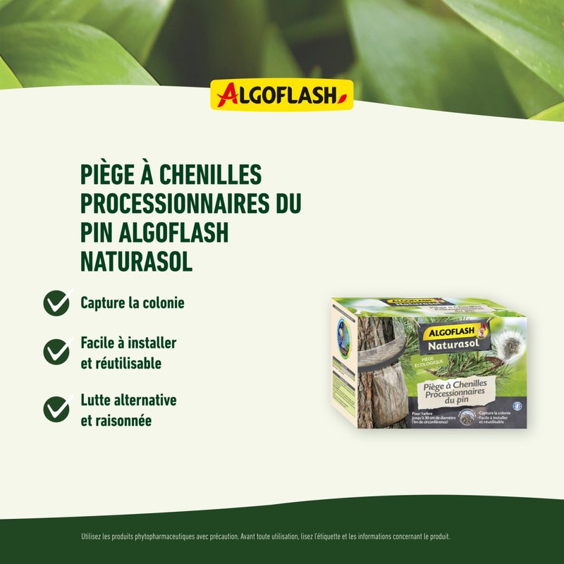 Barrier A Insects Algoflash Naturasol Caterpillar Trap Made of Pine