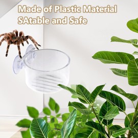 4 Pcs Jumping Spider Feeding Dish Water Bowl with Suction Cup for Jumping Spider Tarantula Millipede Small Reptiles