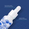 Newzoll 15mL/0.5oz Ceramic Eye Dropper Bottles Blue and White Porcelain
