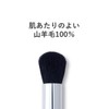 Orbis Face Color Brush, Makeup Brush