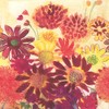 Ideal Home Range Servilletas, BUNCH OF FALL FLOWERS, 1