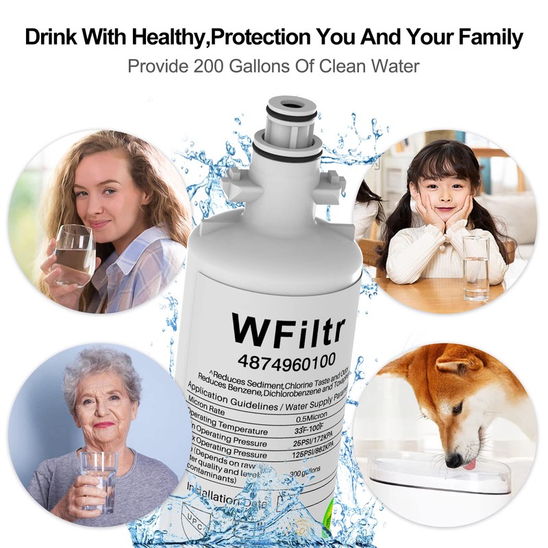 4874960100 Filter Replacement for Blomberg Beko 4874960100 Water Filter (1