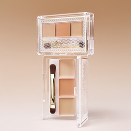 Cezanne [Cezanne] Palette Concealer 4.5g / [세잔느] 팔레트 컨실러 4.5g