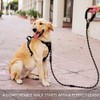 Dog Reflective Leash 5FT Long, ½ Inch Thick Reflective Rope
