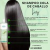 Kit Shampoo Cola De Caballo + Biotinas Cabello Largo &