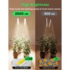 BBSolar Smart Plant Grow Light, 𝟐𝟎𝟐𝟒 𝐍𝐞𝐰𝐞𝐬𝐭 𝐁𝐫𝐢𝐠𝐡𝐭𝐞𝐬𝐭 2500lm Full