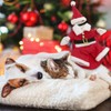Christmas Cat Costume Dog Costume, Christmas Cat Clothing, Christmas Pet