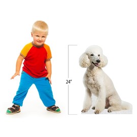 Dog - Poodle - Life Size Cardboard Cutout Standup People with Support Standee | Animals -